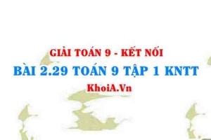 Bài 2.29 SGK Toán 9 tập 1 Kết nối tri thức